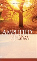 Angol Biblia Amplified Bible Mass Market (Paperback / papír)