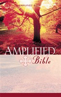 Angol Biblia Amplified Paperback (Paperback / Papír)