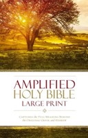 Angol Biblia Amplified Bible Large Print Hard Cover (Hardback)