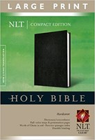 Angol Biblia New Living Translation Compact Edition Large Print Bible (Hardback)